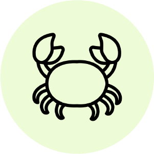 don-tuyen-thuc-tap-sinh