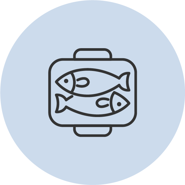 don-tuyen-thuc-tap-sinh