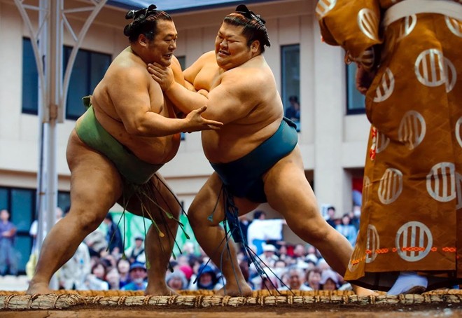 Lễ hội đấu vật sumo ở Nhật Bản