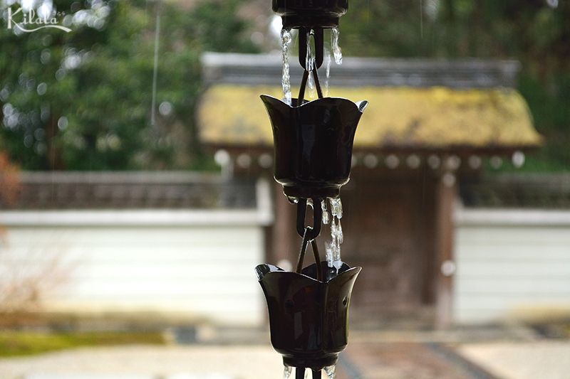 ky-su-lam-viec-tai-nhat-ban-esuhai 4