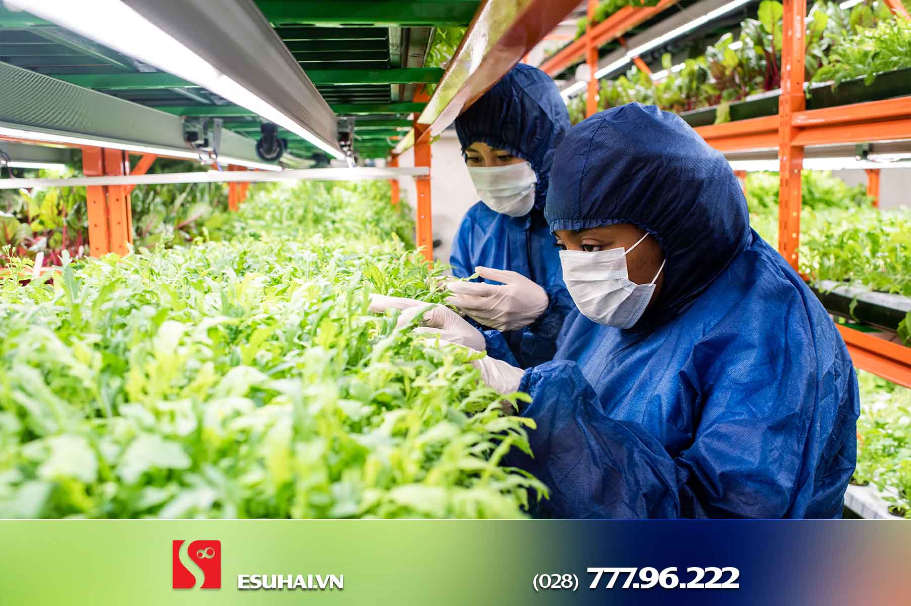 Các công việc thường xuyên tuyển dụng ngành Nông nghiệp