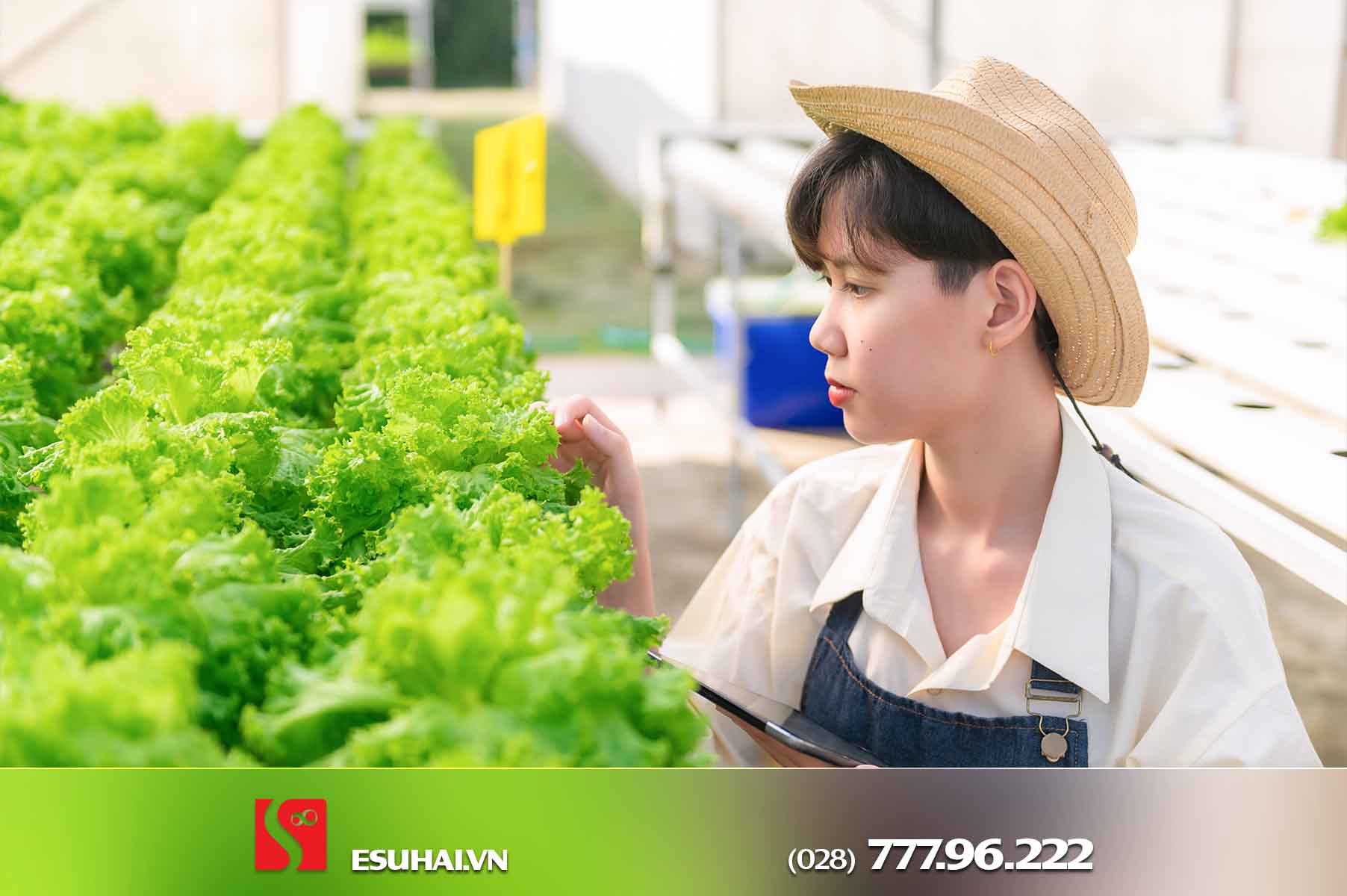 Tại sao bạn nên đi XKLĐ Nhật ngành Nông nghiệp?
