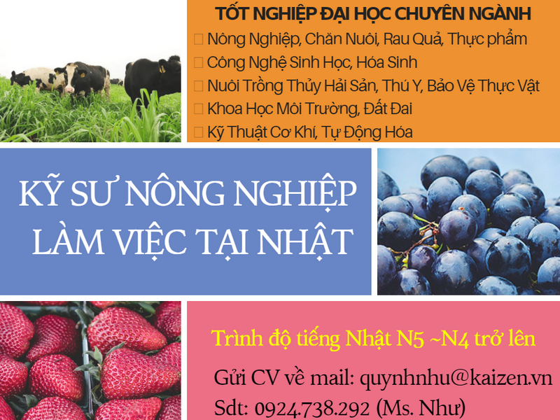 ky-su-lam-viec-tai-nhat-ban-esuhai-nn