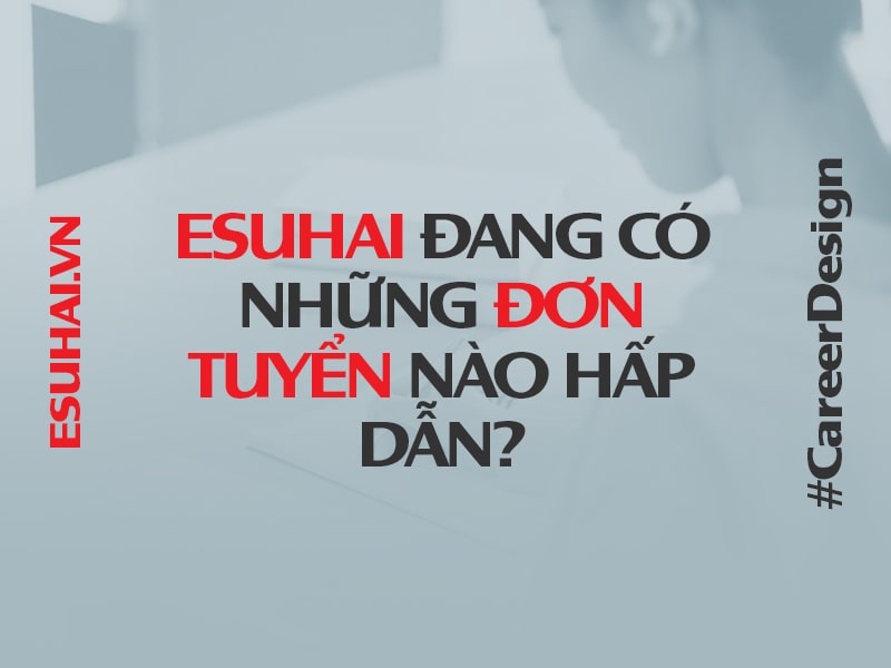 esuhai-dang-co-nhung-don-tuyen-nao-hap-dan