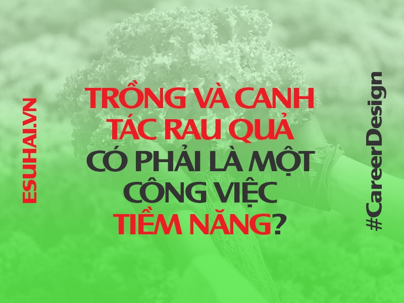 cong-viec-trong-va-canh-tac-rau-qua