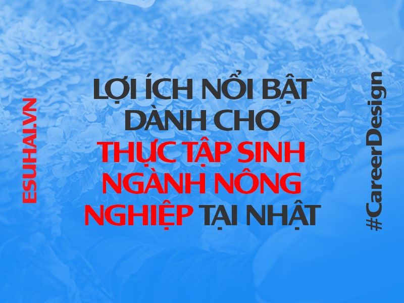 loi-ich-noi-bat-danh-cho-thuc-tap-sinh-nong-nghiep