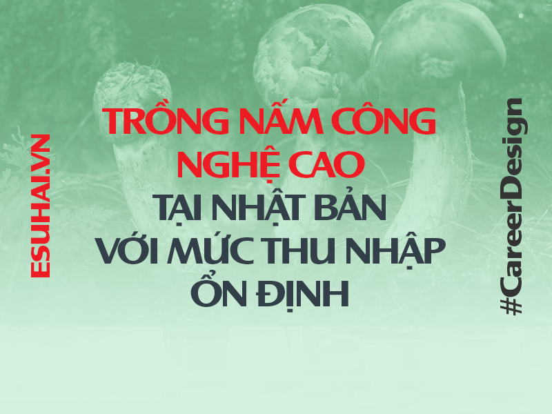 xuat-khau-lao-dong-nhat-ban-esuhai