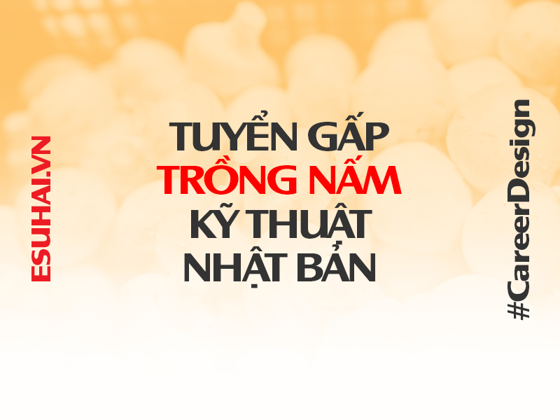 xuat-khau-lao-dong-nhat-ban-esuhai