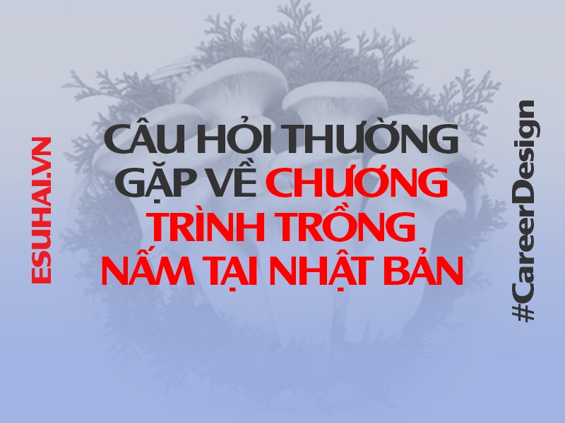 cau-hoi-thuong-gap-ve-chuong-trinh-trong-nam-tai-nhat-ban