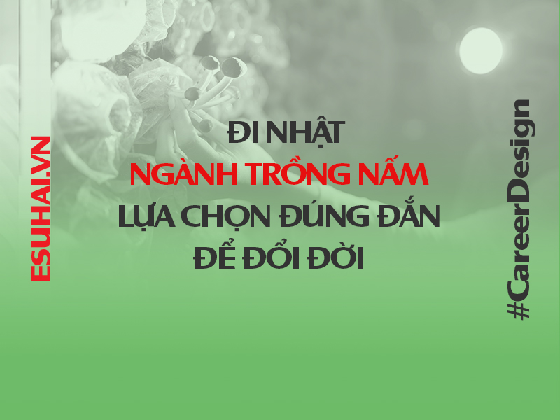 xuat-khau-lao-dong-nhat-ban-esuhai