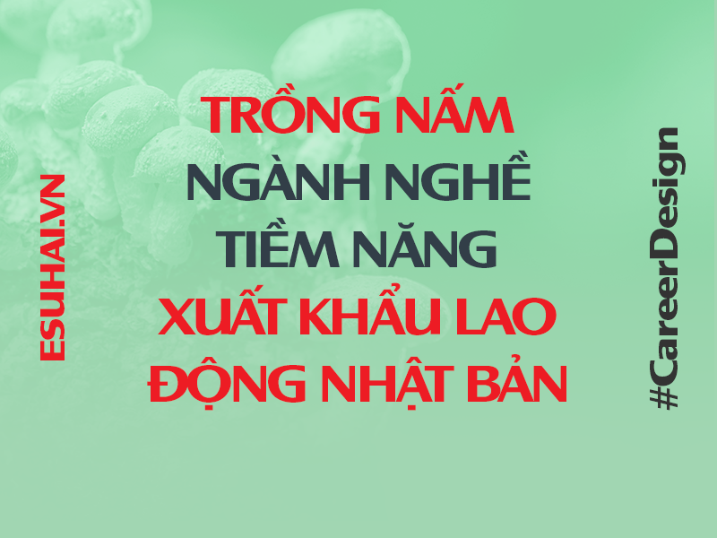 xuat-khau-lao-dong-nhat-ban-esuhai