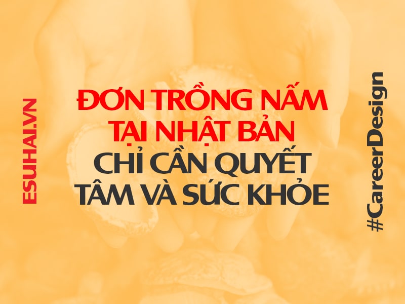 don-trong-nam-tai-nhat-ban
