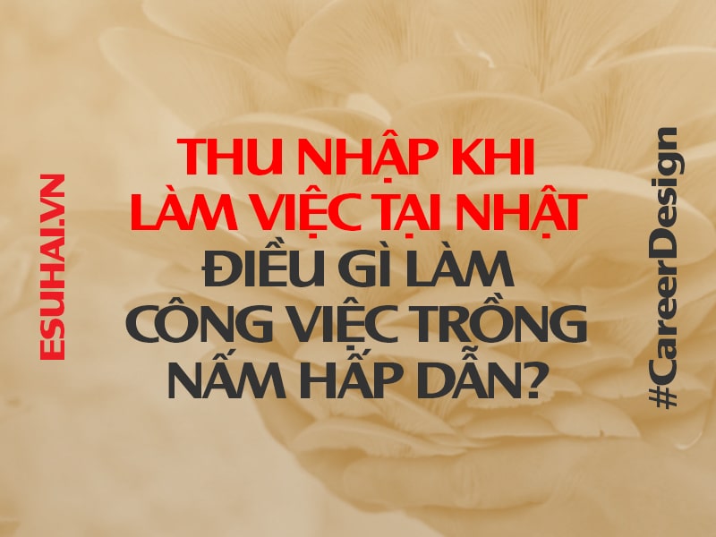 thu-nhap-khi-lam-viec-tai-nhat-ban