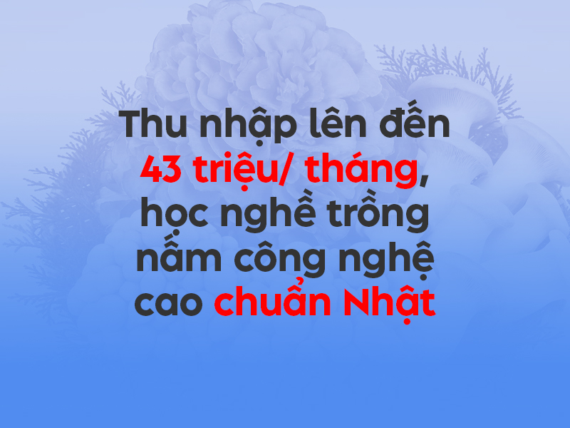 trong-nam-maitake