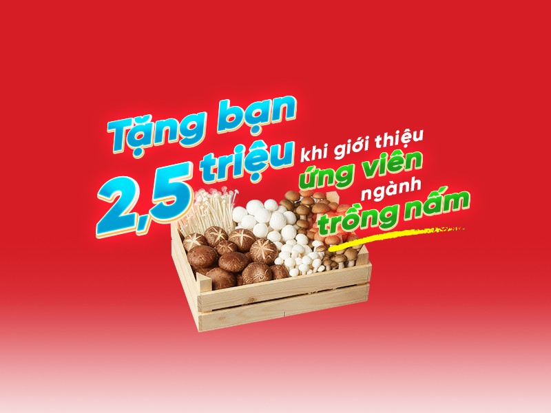 xuat-khau-lao-dong-nhat-ban-esuhai